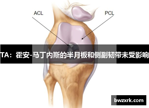 TA：霍安-马丁内斯的半月板和侧副韧带未受影响